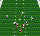 NFL '95 (USA, Europe) In game screenshot